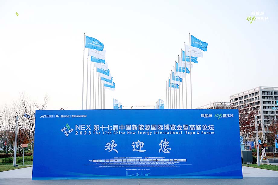 17. China New Energy International Expo