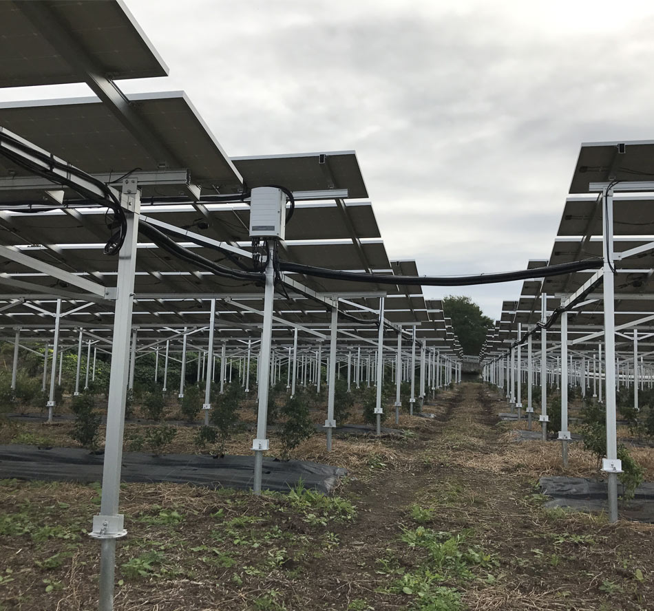 Farm Solarstruktur
